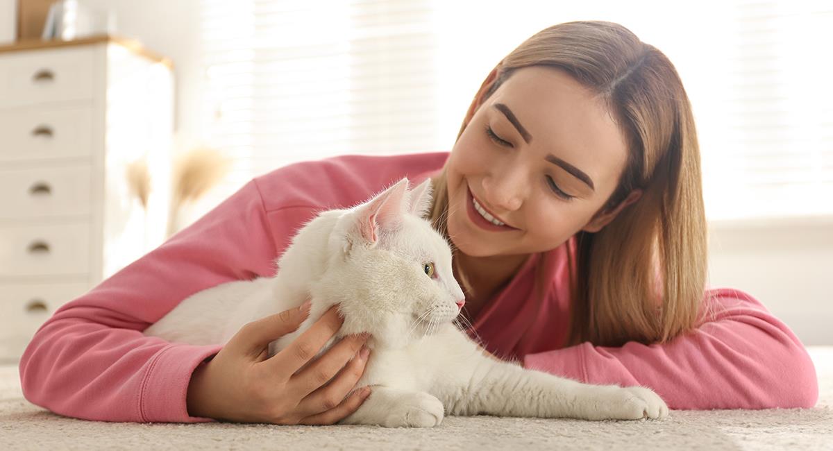 Conoce las formas con las que tu gato demuestra que te quiere. Foto: Shutterstock