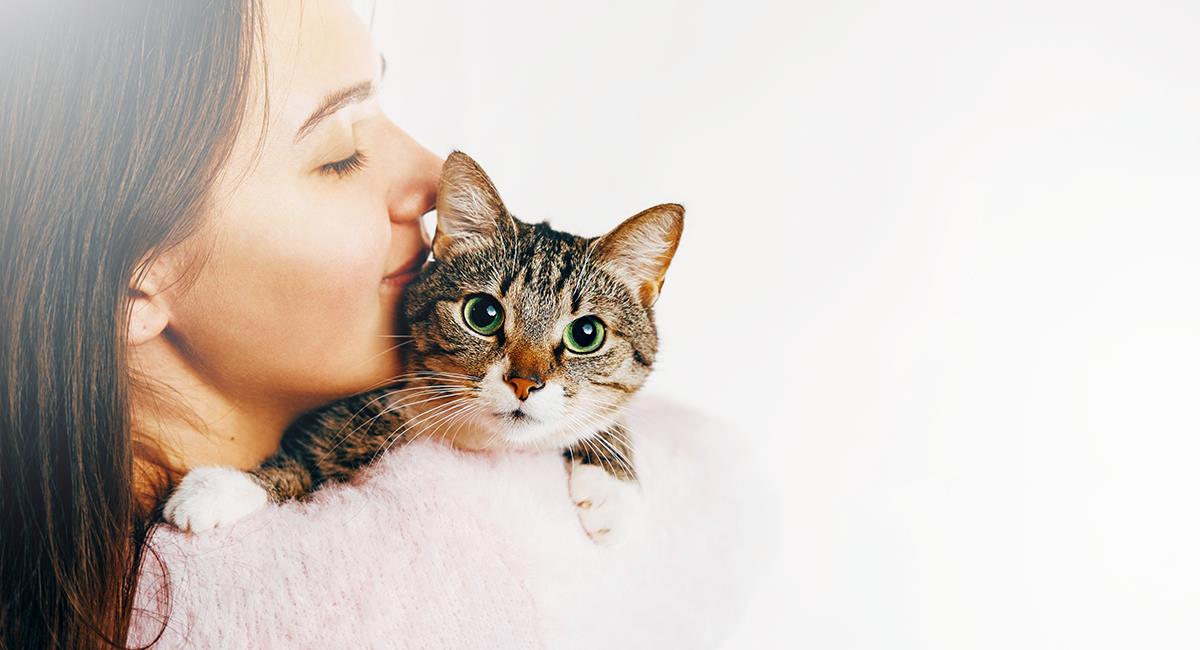 Investigadores revelan 5 tipos de dueños de gatos. Foto: Shutterstock