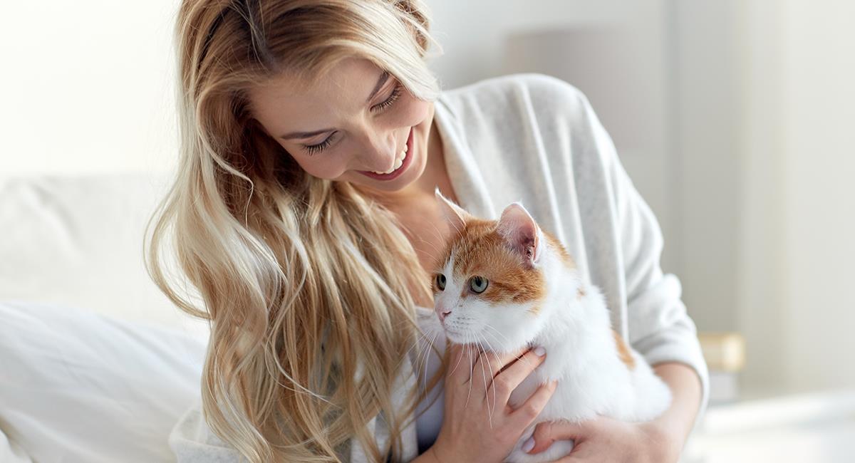 Descubre las ventajas de tener un gato como mascota. Foto: Shutterstock