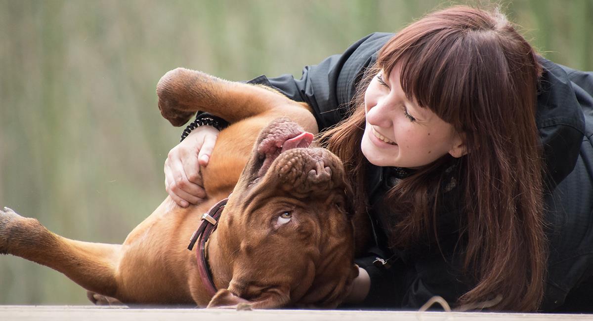 5 increíbles enseñanzas de vida que te da tu perro sin que lo notes. Foto: Pixabay