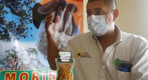 Colombiano promueve uso ancestral de la algarroba