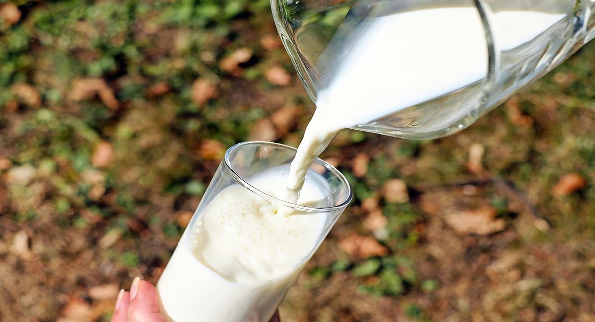 La adulteración de la leche con agualeche o lactosuero es una práctica que prohíbe la ley. Foto: Pixabay