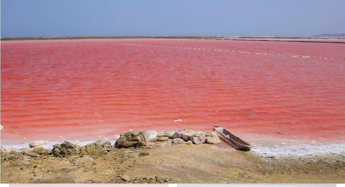 El mar rosado de Galerazamba es una verdadera maravilla natural que hay que visitar. Foto: Facebook MAR rosado de Colombia