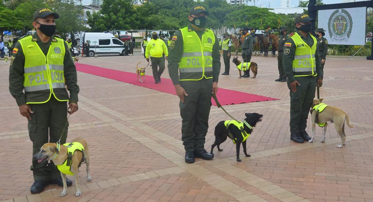 Gatos y perros fueron condecorados en Cartagena por su servicio a la Policía. Foto: Twitter @AlcaldiaCTG