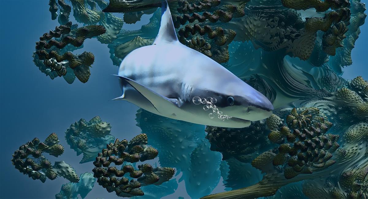 Algunas especies de tiburones ya se encuentran en riesgo debido a la caza indiscriminada. Foto: Pixabay