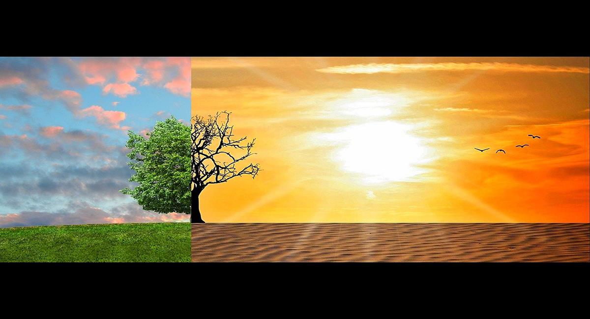 El calentamiento global está convirtiendo zonas de vegetación en zonas secas y desérticas. Foto: Pixabay