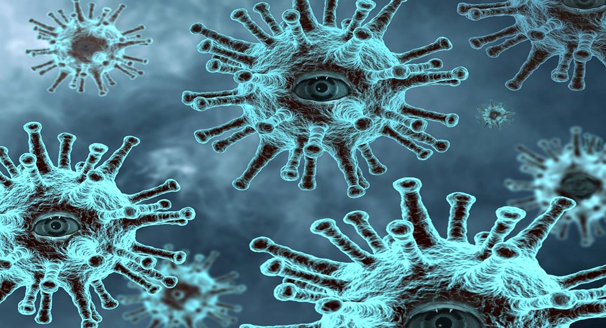 El Covid-19 se convertirá en algo como la influenza o la gripa permaneciendo en el ambiente luego del fin de la pandemia. Foto: Pixabay