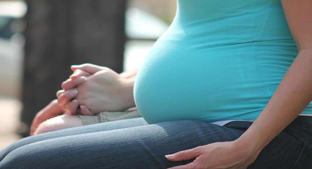 La contaminación del aire pone en riesgo la vida de fetos desarrollados porque puede llegar hasta la placenta de mujeres embarazadas. Foto: Pixabay