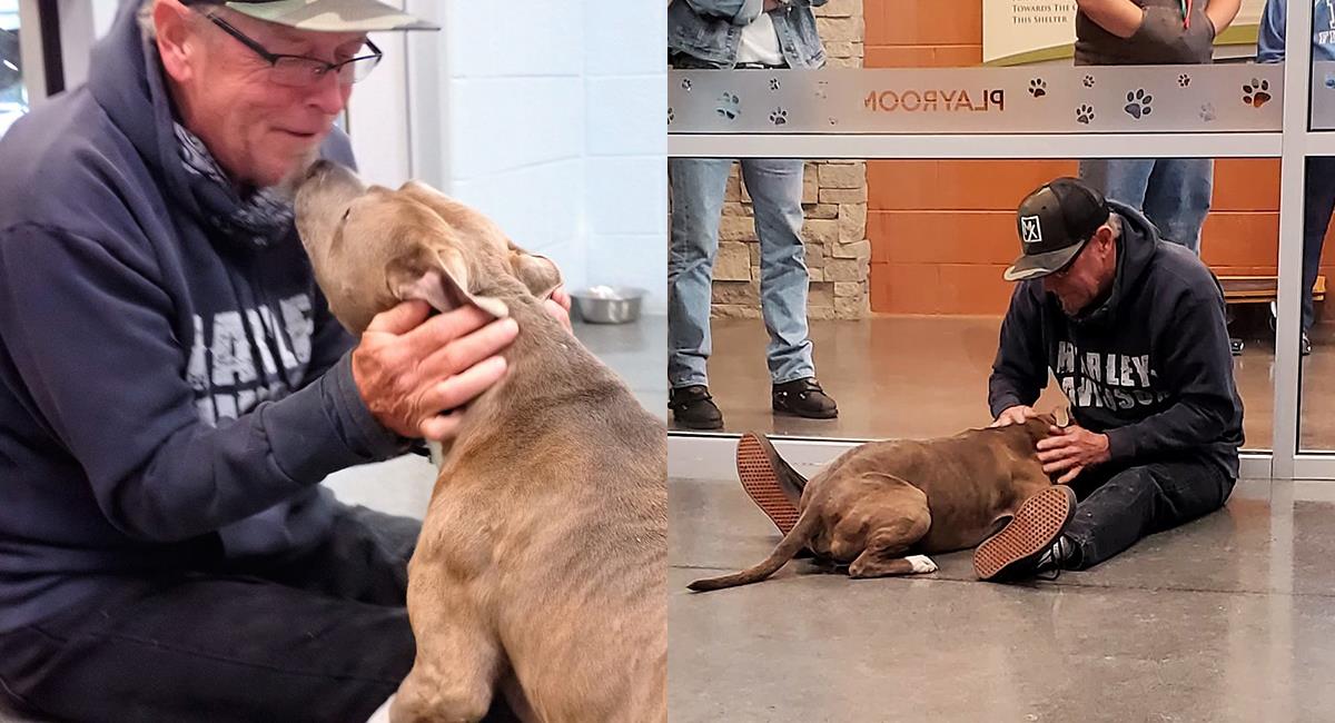 Conmovedora reacción de un perro al reencontrarse con su dueño. Foto: Facebook Washington County, TN Animal Shelter
