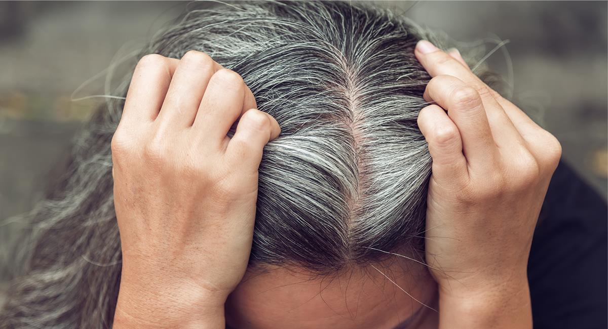 5 increíbles formas de pintar tu cabello para disimular las canas. Foto: Shutterstock