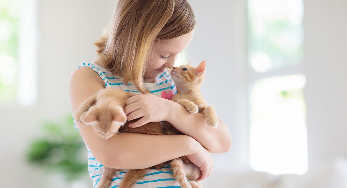 Esto es lo que debes saber si eres un padre gatuno primerizo. Foto: Shutterstock