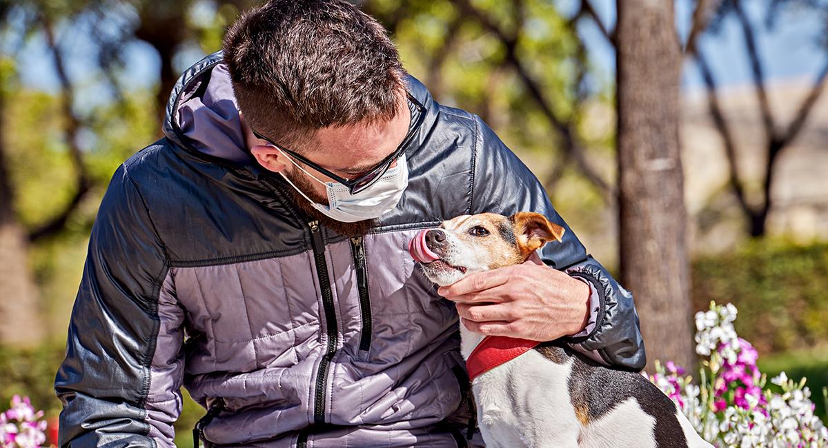 Estas son las 5 enfermedades que los perros pueden transmitir a los humanos. Foto: Shutterstock