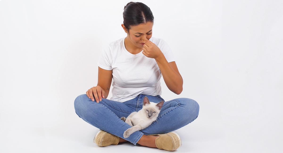 5 formas de eliminar los malos olores si tienes un gato en casa. Foto: Shutterstock