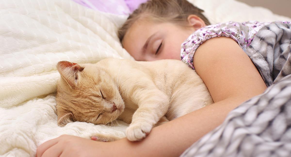 4 razones por las que deberías dormir siempre con tu gato. Foto: Shutterstock