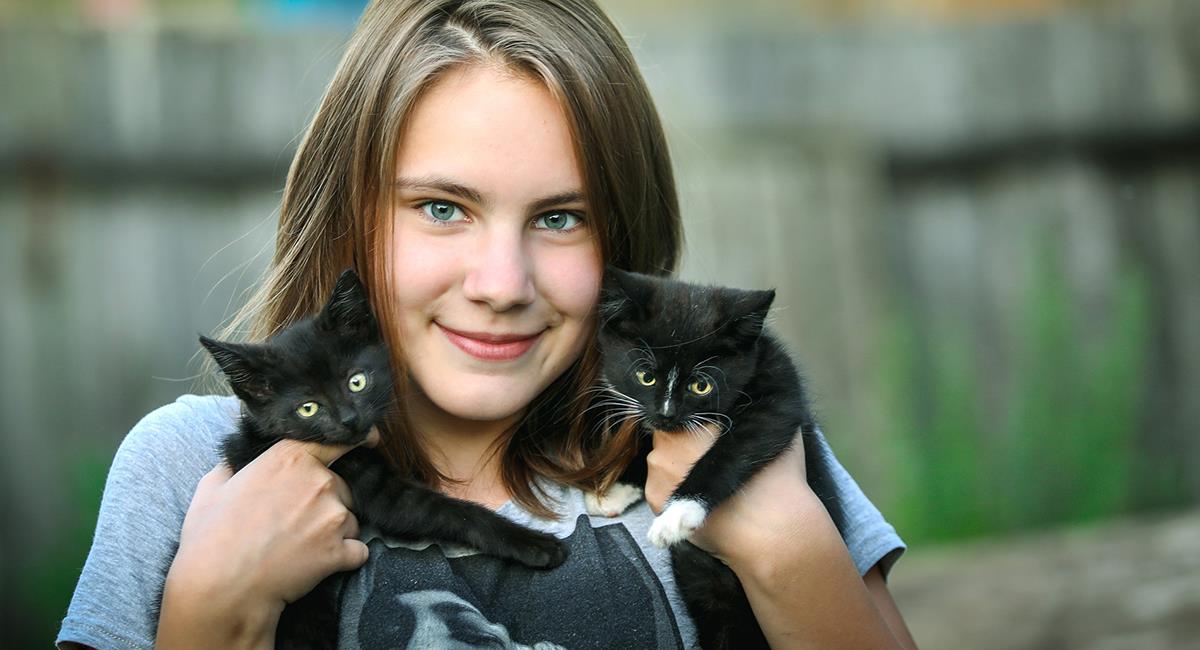 6 razones por las que deberías tener un gato como mascota. Foto: Pixabay
