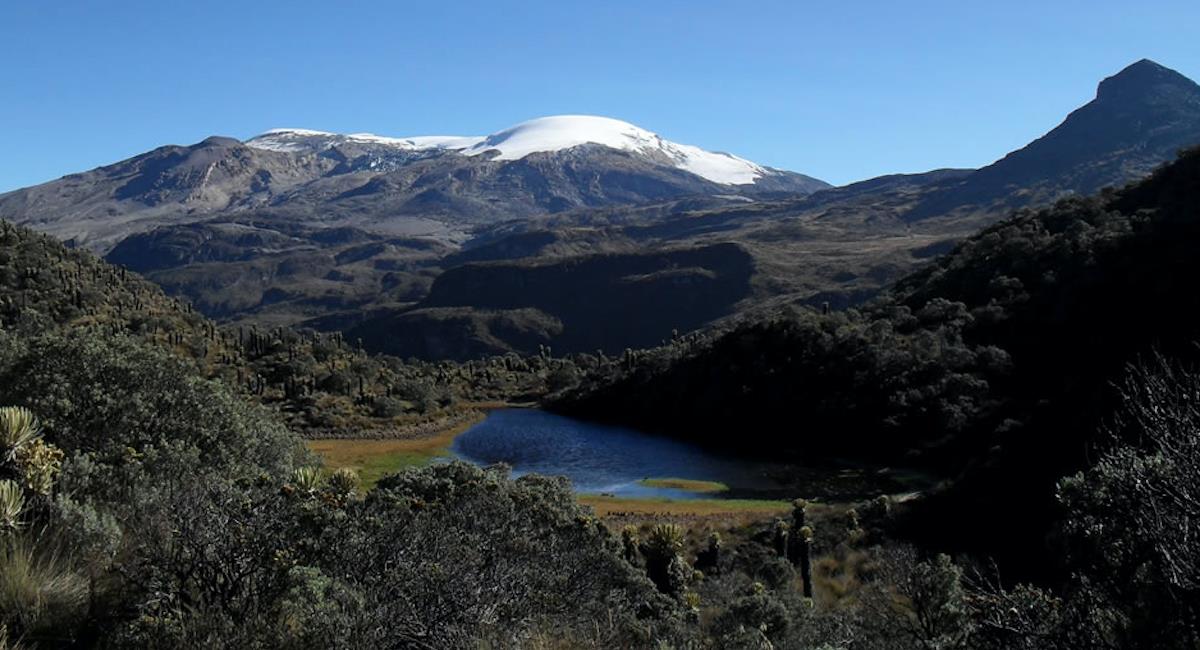 Parque Nacional Natural Los Nevados. Foto: Parques Nacionales de Colombia