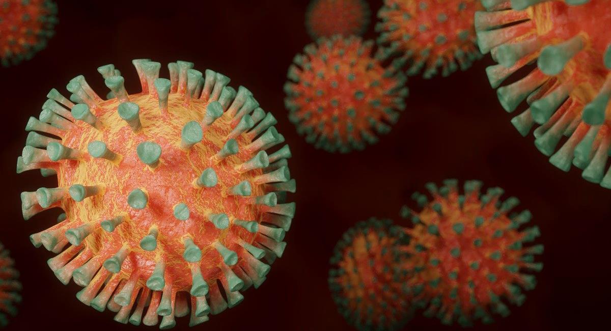 Científicos de la Universidad de Georgia en los EEUU aseguran que el Molnupiravir suprime la transmisión de Covid-19 en 24 horas. Foto: Pixabay