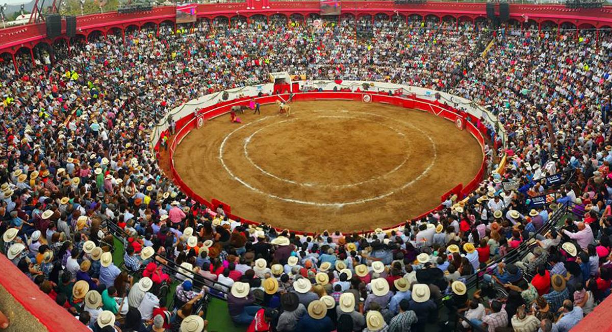 En primer debate fue aprobado un proyecto de ley para eliminar las corridas de toros en Colombia. Foto: Facebook Letra Fría