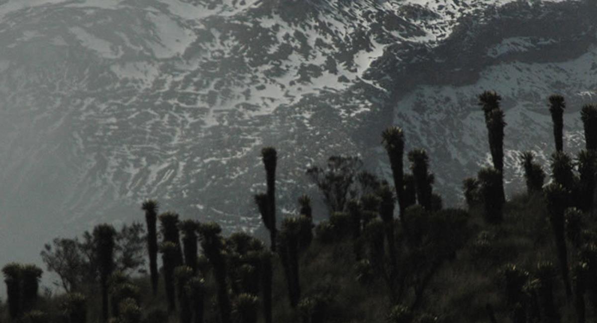 El Nevado del Ruiz no estará habilitado en esta nueva 'apertura'. Foto: Twitter @ParquesColombia