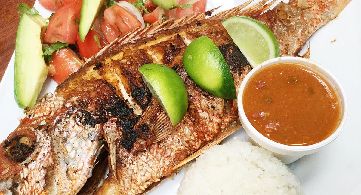 Gastronomía en Colombia: 3 opciones de recetas con pescado para la cena de  Navidad
