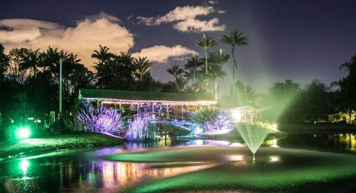 El Jardín Botánico abrirá sus puertas para recorridos nocturnos hasta enero 2021. Foto: Pixabay