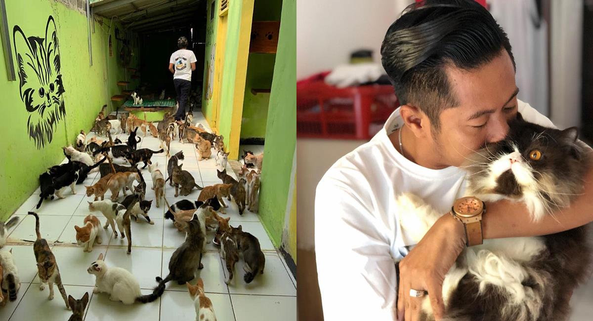Hombre vive con 480 gatos que ha rescatado de las calles. Foto: Instagram @cat_lovers_in_the_world