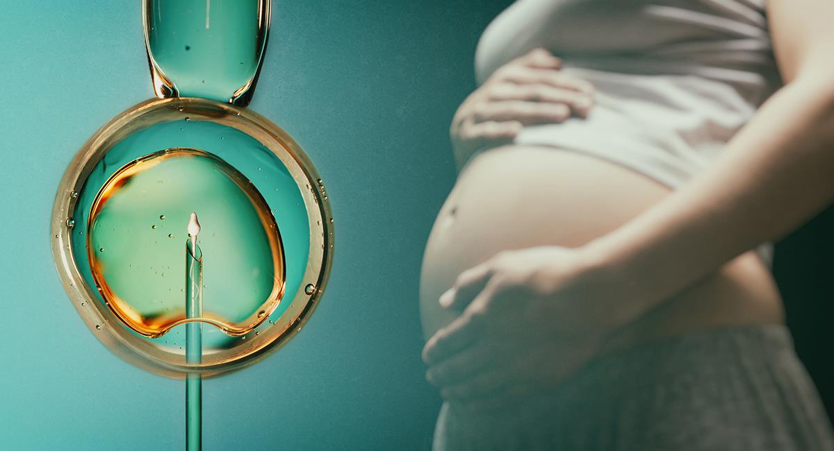¡De no creer! Ginecólogo inseminó sin permiso a cientos de mujeres. Foto: Shutterstock