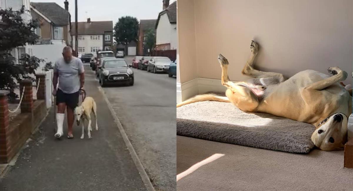 Tierno perro imita la cojera de su dueño y se vuelve viral. Foto: Facebook Russell Jones