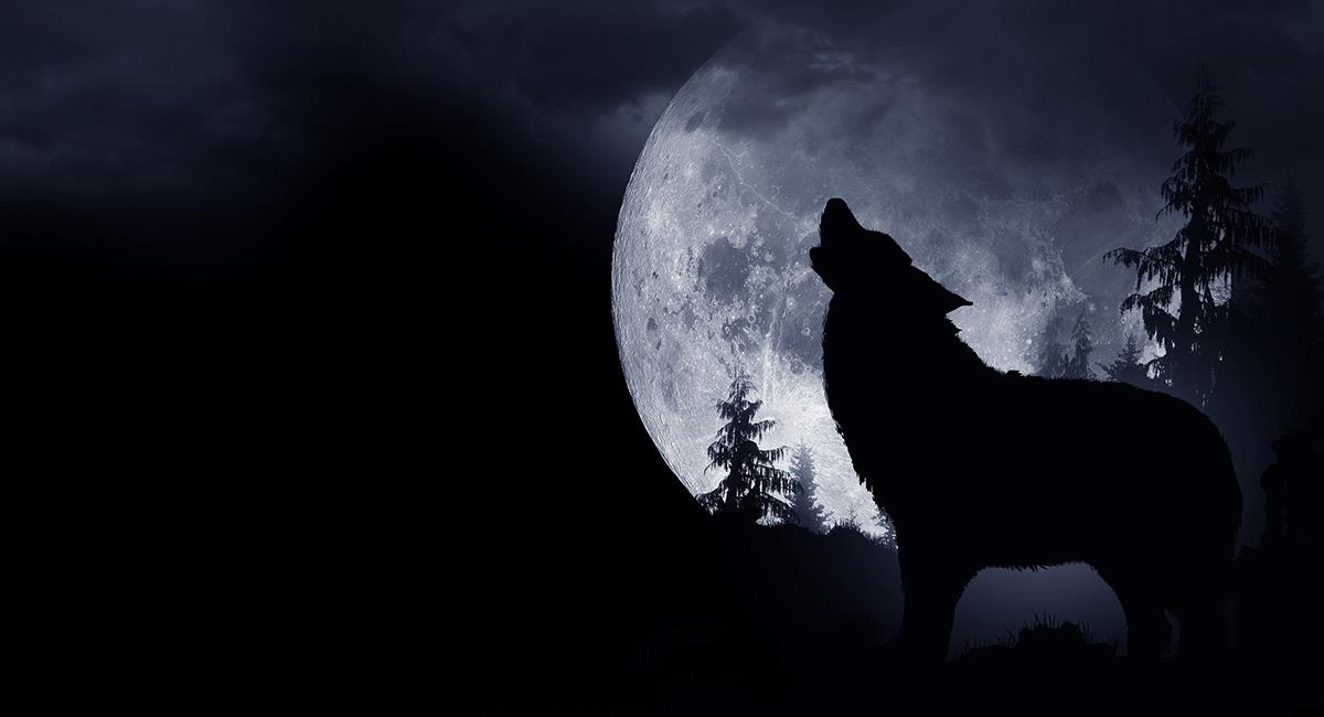 Conoce qué pasará contigo hoy en la luna llena del lobo, según tu signo zodiacal. Foto: Shutterstock