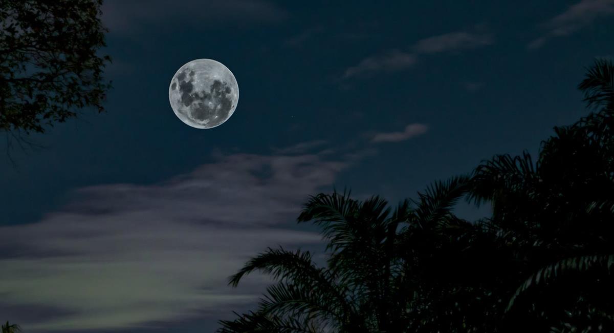 La Luna de Nieve se podrá visualizar el próximo 27 de febrero. Foto: Pexels