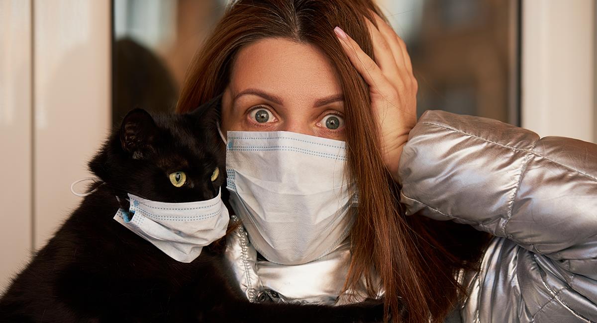 Coronavirus en animales: harán pruebas de COVID-19 a mascotas con síntomas. Foto: Shutterstock