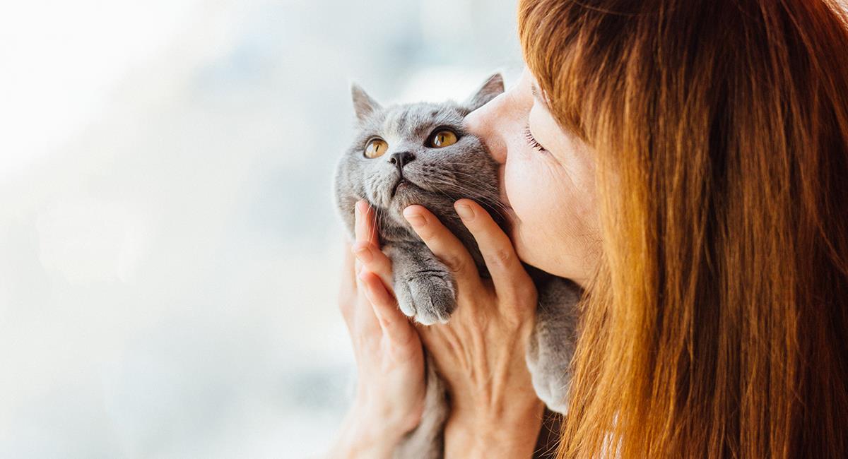 Mejora el vínculo con tu gato con estos 4 divertidos juegos. Foto: Shutterstock