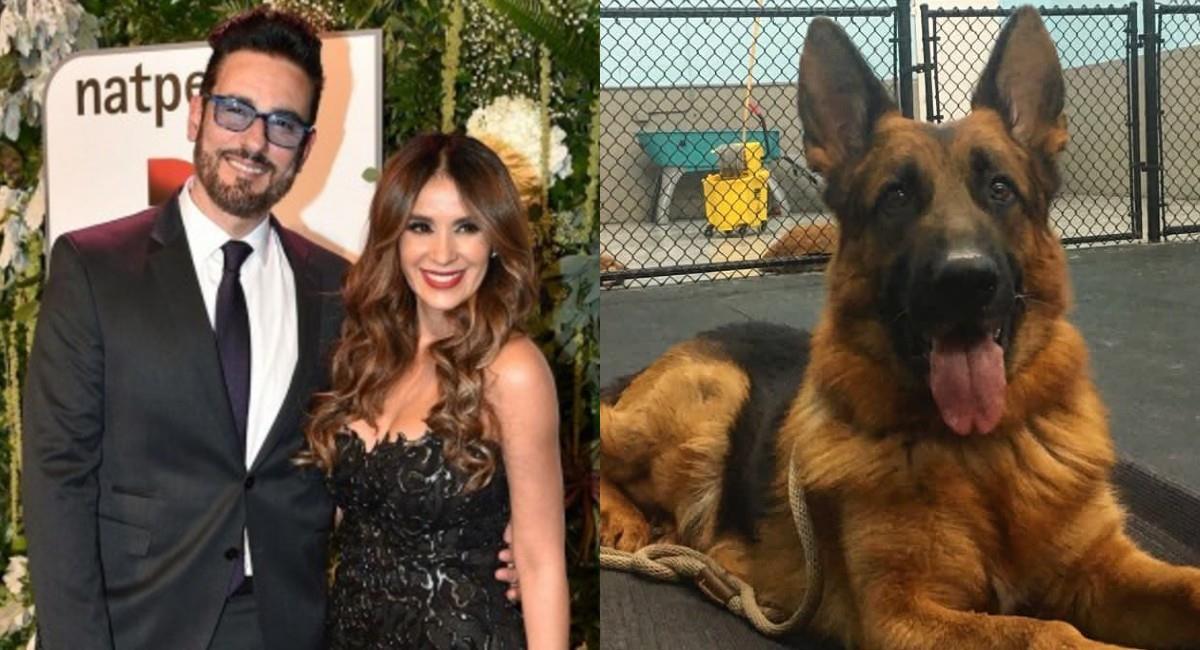Miguel Varoni confesó los difíciles días que pasa tras la pérdida de su perrita. Foto: Instagram