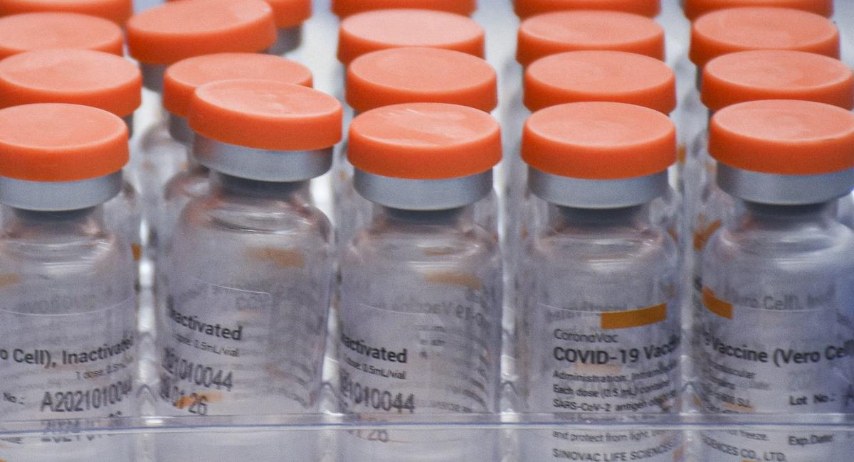 La vacuna china Sinovac contra la COVID-19 no requiere ultracongelación y Colombia recibirá dos millones de dosis en los próximos días. Foto: Twitter @ExpPolitica