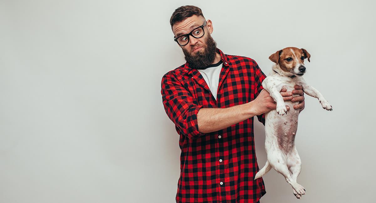 Las flatulencias de tu perro ya no serán un problema con estos 5 trucos. Foto: Shutterstock