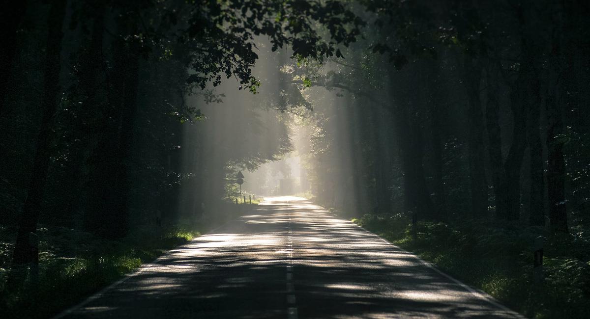 Los caminos desolados, son el lugar favorito del "espectro" para asustar a sus víctimas. Foto: Pixabay