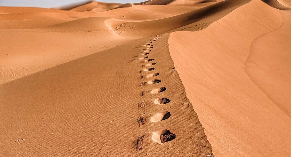 Imagen captada en el desierto del Sahara, en Marruecos. Foto: Pixabay