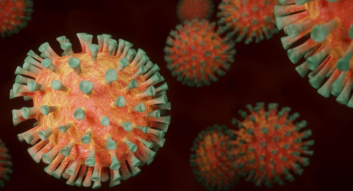 La pandemia ocasionada por la COVID-19 ha generado muerte, temor y pobreza en solo un año. Foto: Pixabay