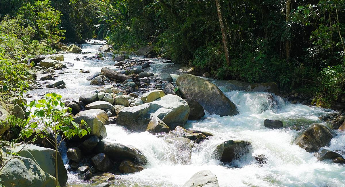 Buga, tiene varios ríos en los que también puedes disfrutar un rato "diferente". Foto: Shutterstock