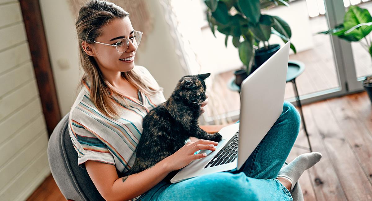 3 claves para mantener tu computador a salvo si tienes un gato en casa. Foto: Shutterstock