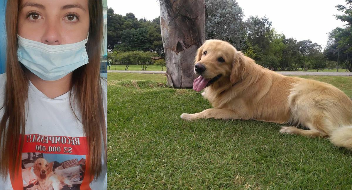 Mujer viajó de Chile a Bogotá para buscar a su perro perdido. Foto: Facebook Ana Galvis