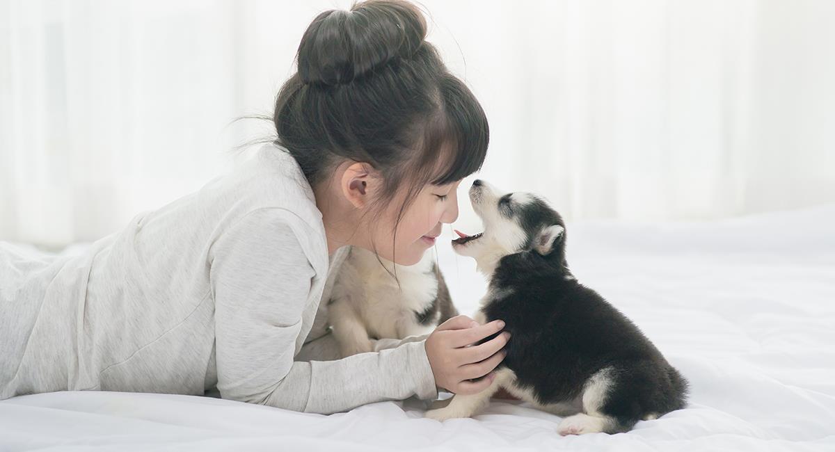 5 remedios caseros para combatir el mal aliento de tu perro. Foto: Shutterstock