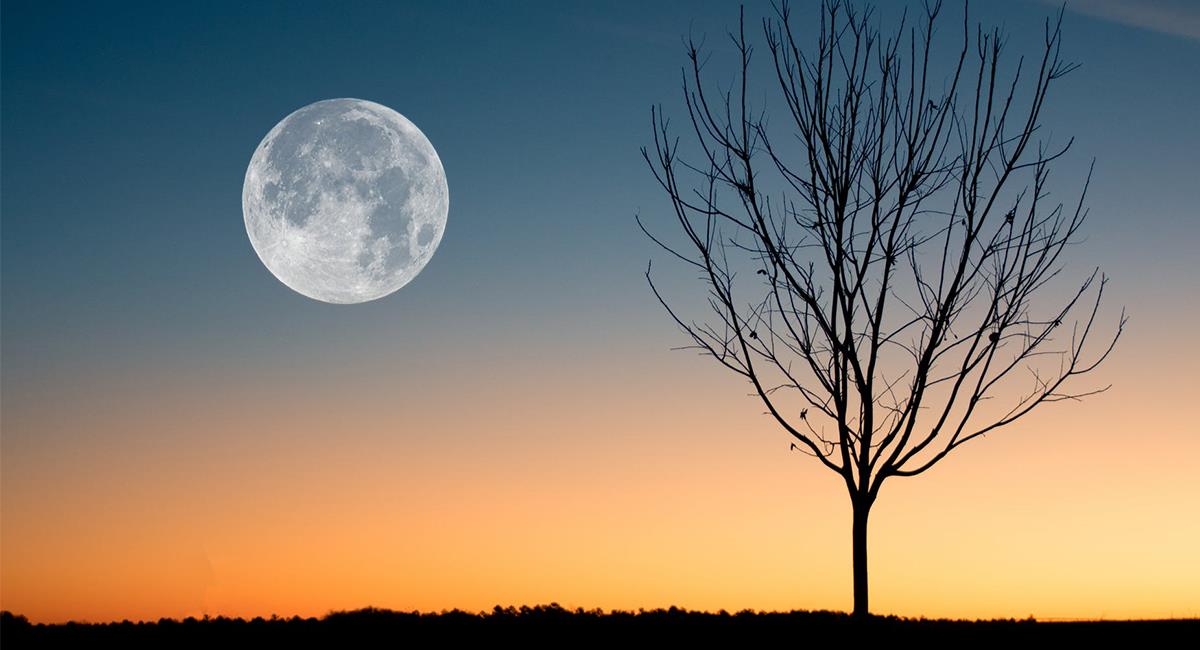 La cola lunar podría verse con mayor intensidad, si una asteroide golpea el suelo de la Luna. Foto: Pexels