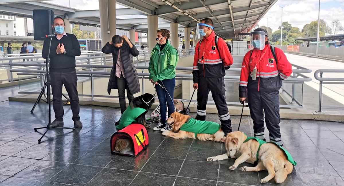 6 cosas que debes tener en cuenta si vas a llevar a tu mascota en TransMilenio. Foto: Shutterstock