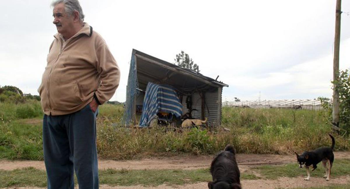José "Pepe" Mujica, expresidente de Uruguay entre 2010 y 2015 es uno de los políticos más queridos por su carisma y sencillo estilo de vida. Foto: Twitter @RussBafari