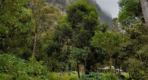Descubre la Reserva Natural de Chicaque que puedes visitar en Bogotá 