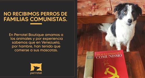 Hotel de perros en Perú no recibe mascotas de dueños comunistas