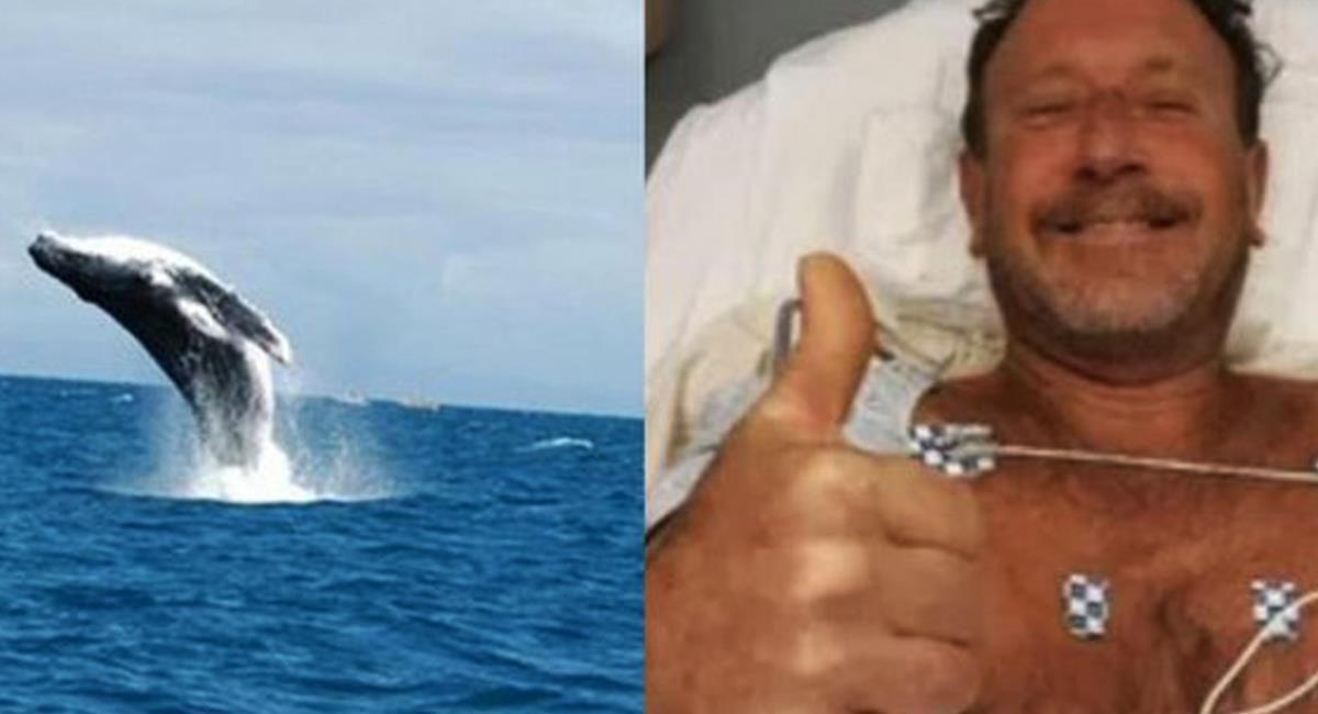 Un buzo casi es tragado por una ballena y logró sobrevivir para contarlo