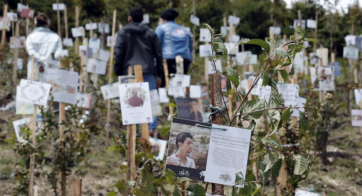 Plantan árboles con cenizas de víctimas de COVID-19. Foto: EFE