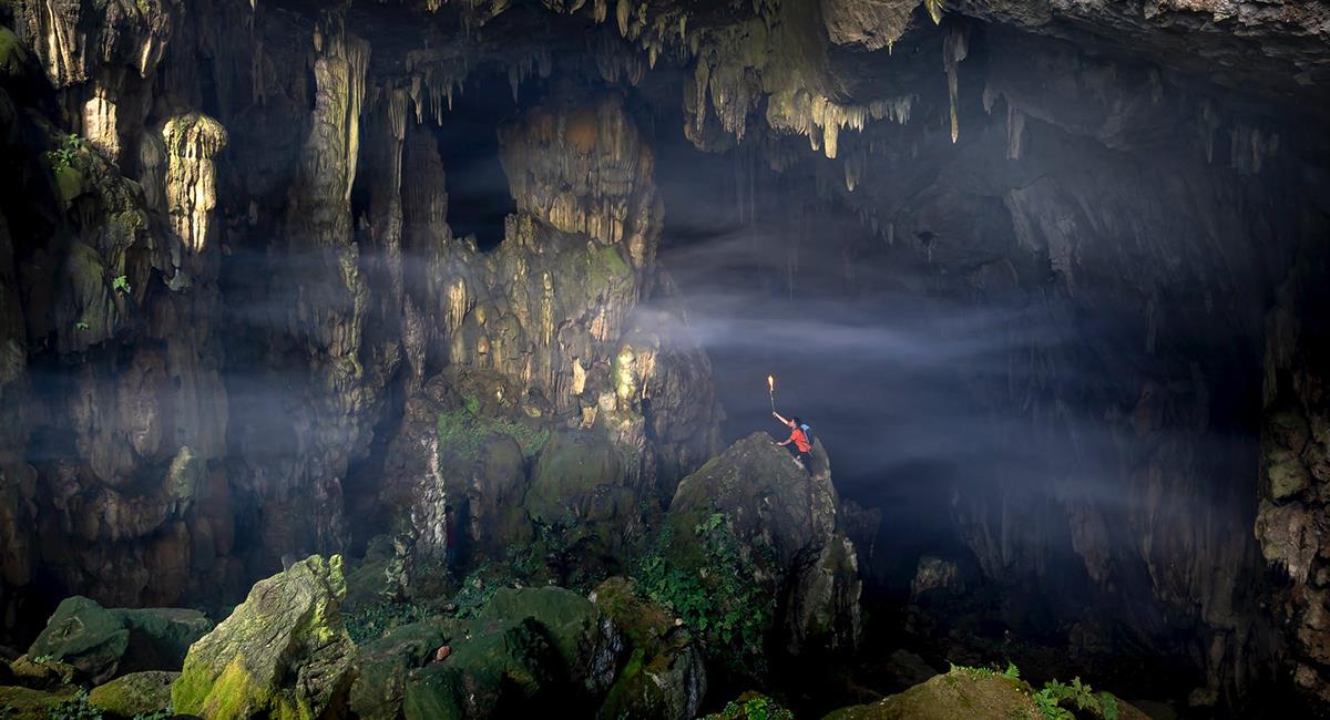 Las cavernas son espacios oscuros donde se resguardan animales o insectos. Foto: Pexels
